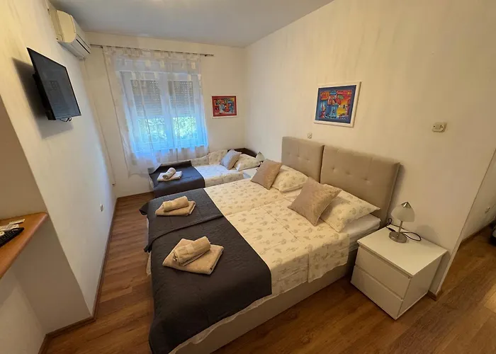 蓝树客房酒店 公寓 斯普利特