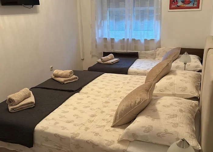 蓝树客房酒店 公寓 斯普利特