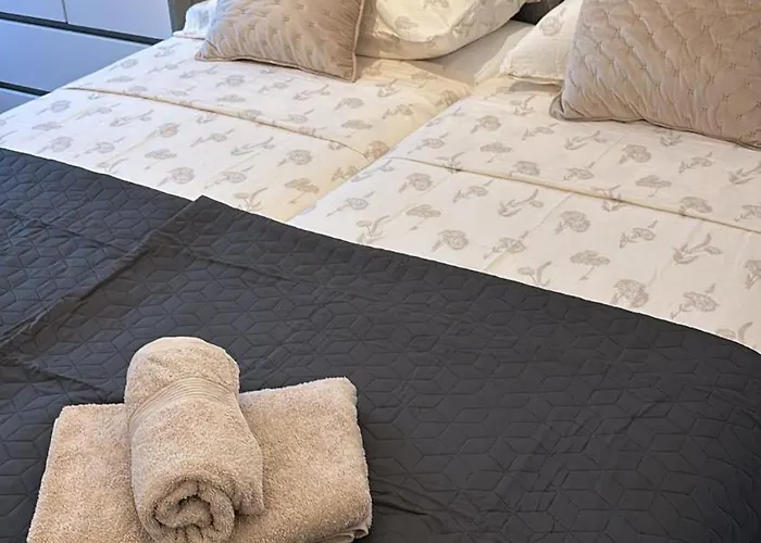 蓝树客房酒店 公寓 斯普利特