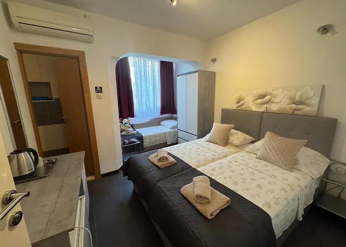 蓝树客房酒店 公寓 斯普利特