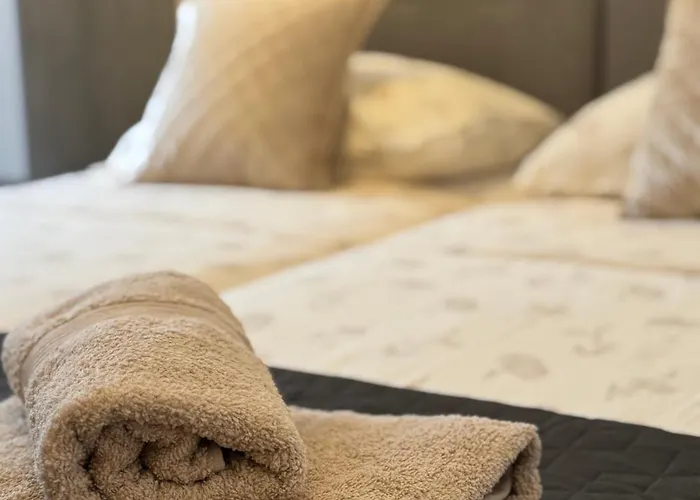 蓝树客房酒店 * 斯普利特