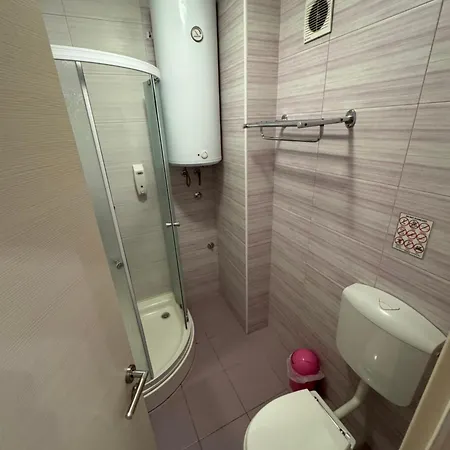 Apartman Blue Tree *