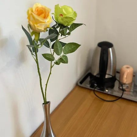 Lejlighed Blue Tree Split