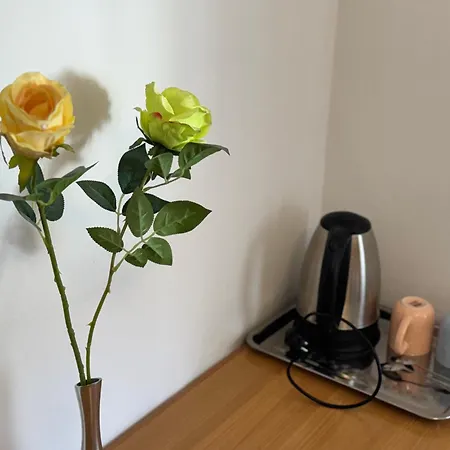 Apartman Blue Tree Split