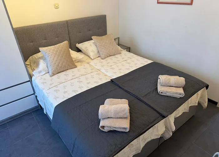 蓝树客房酒店 公寓 斯普利特