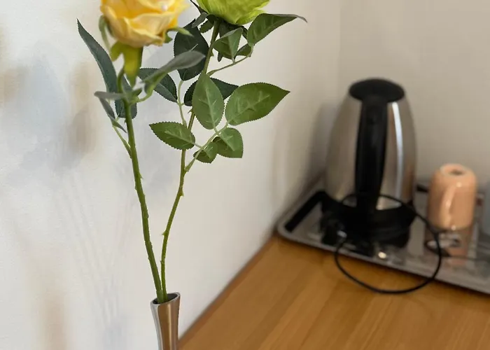 公寓 蓝树客房酒店 斯普利特