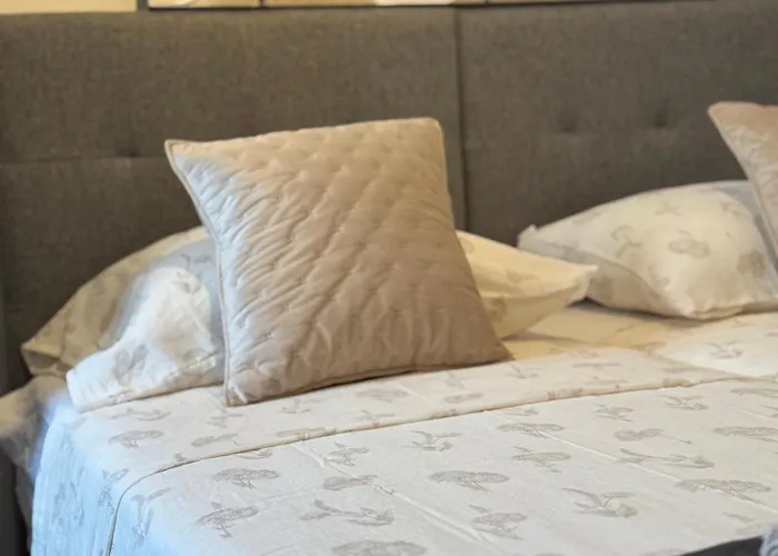 蓝树客房酒店 * 斯普利特