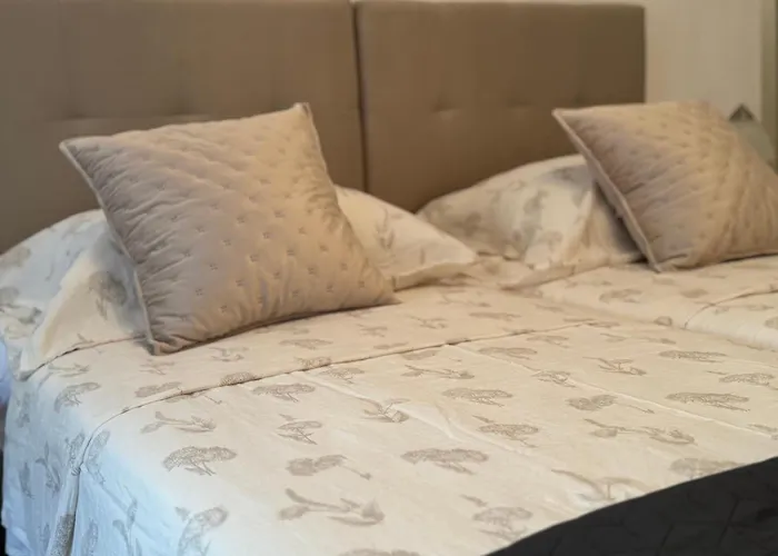 蓝树客房酒店 公寓 斯普利特