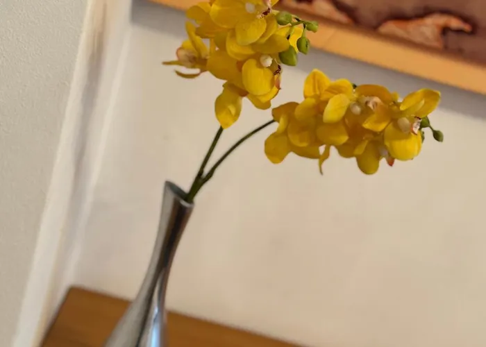 蓝树客房酒店 公寓 *