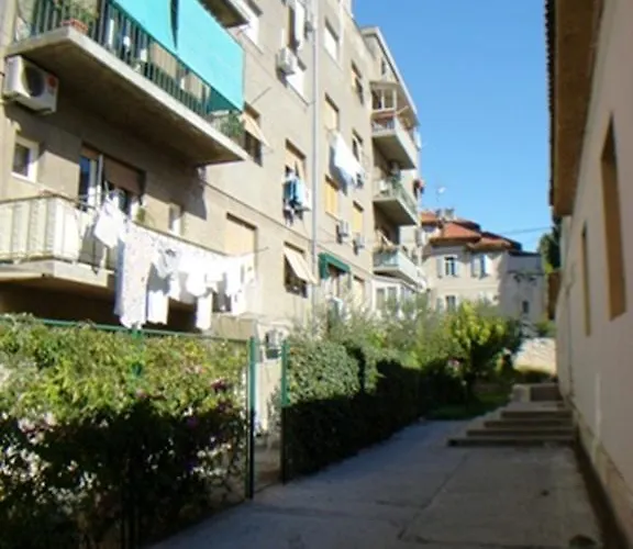 蓝树客房酒店 公寓 *